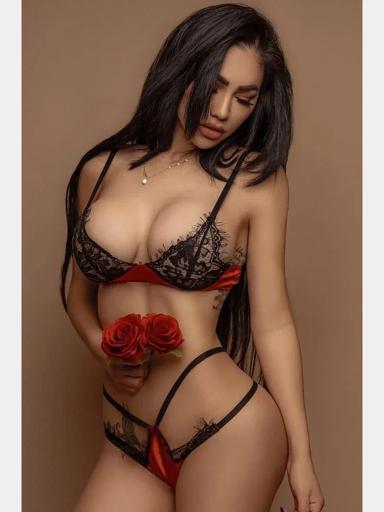 Ankara Çamlıdere escort görseli